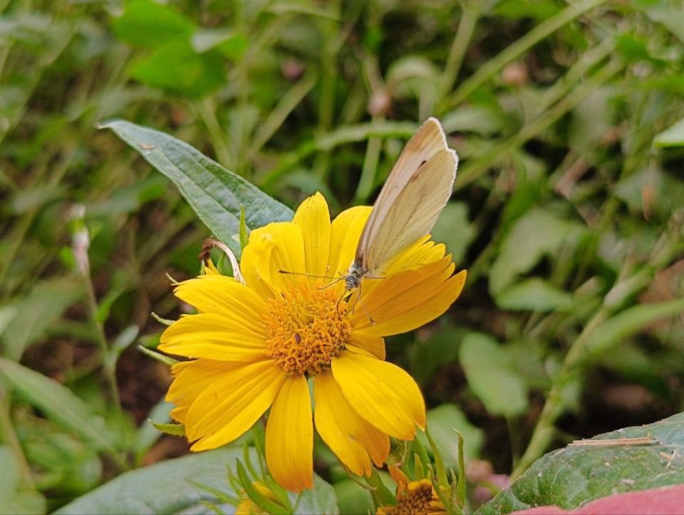 ��� �������� ��������� ����� �� ����� �� � ��, 24 ���� ��������� ���������� ����������, ��� ������������ �������