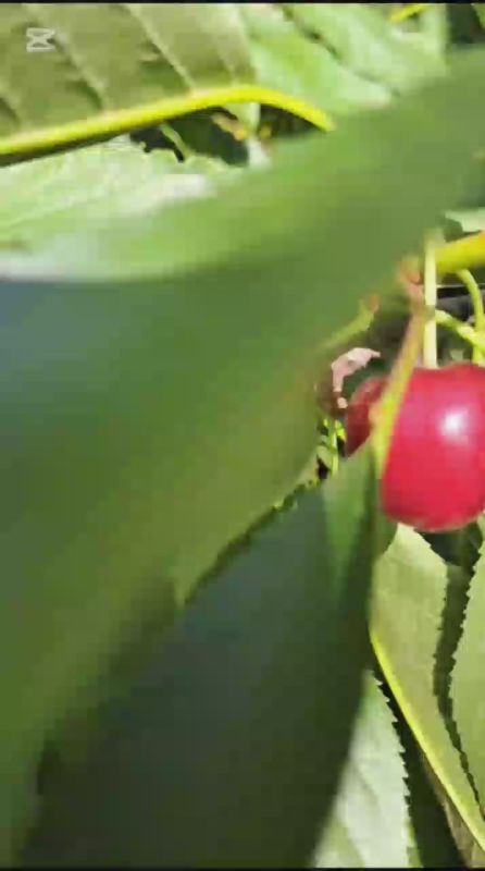 �� 30 �������� ����������� ���� ��� ��������� ����� 50 ����� ��������� ��������