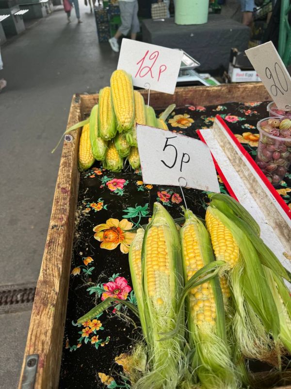 ���� ��� �� ����� � �������� ��������