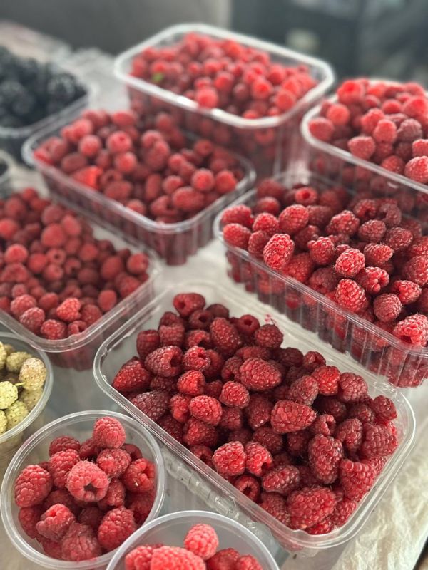 ���������� ����� �� ����� ����������, ������� ���������