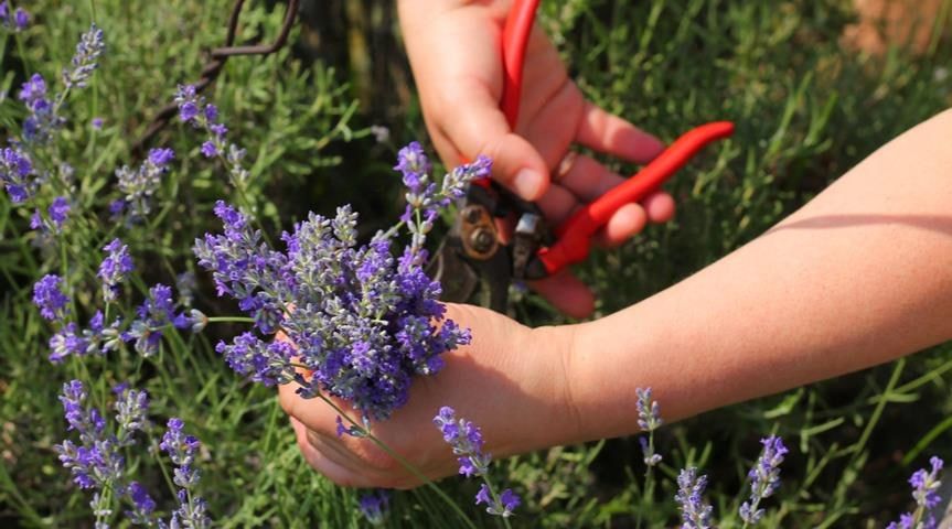 ���������� ������� ���������� ���, ��� � ��� ������� ������� � ���������� �� ���������� ���� � 8 ����