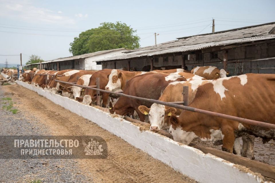 ��������� �������� �������������� � I �������� 2025 ����