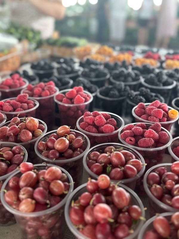 ������� ��� �� ������ �����