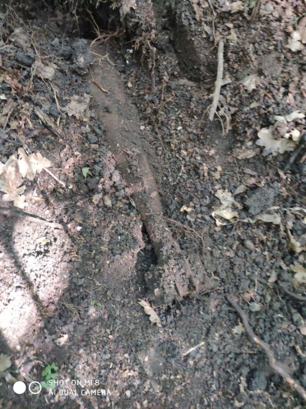 4 ��������� ���� ����� � ���������� ����