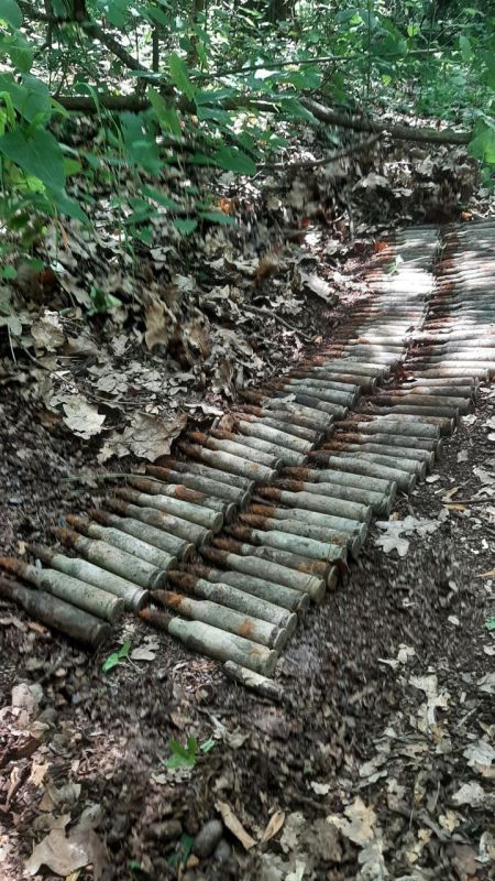 ���������, � ���������� ���� � ����� ����� �����������