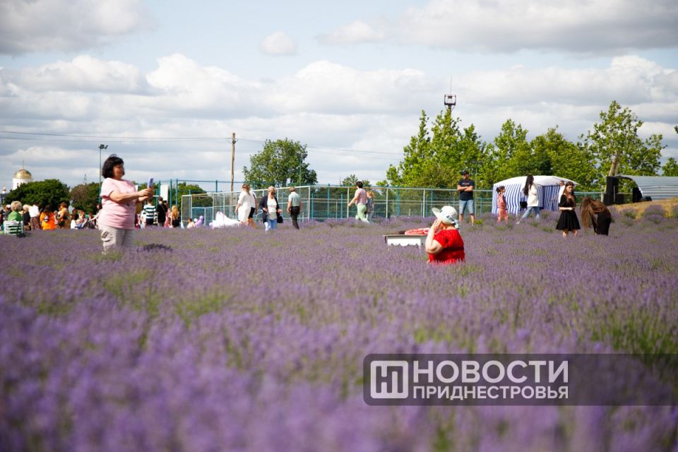 � ����������� �������� �������