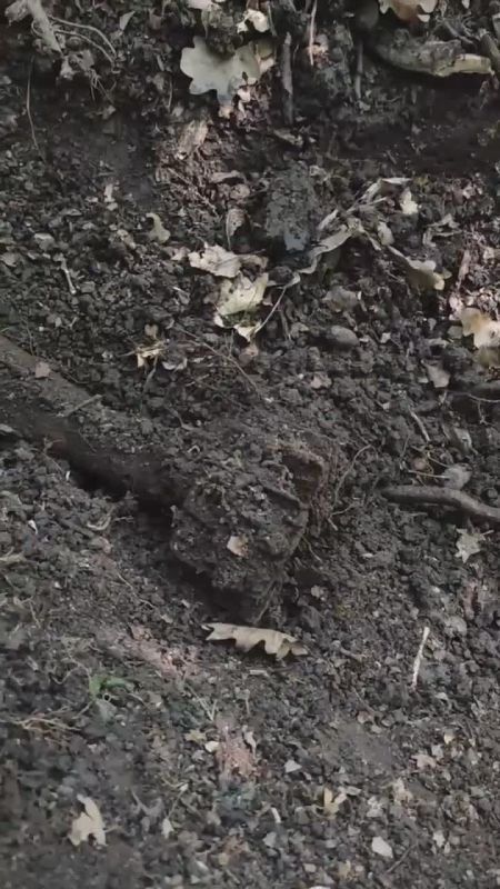 ���� � ���������� ����. ������� ����� ������� ������������� ��������� ��������� ����� ������� � �����