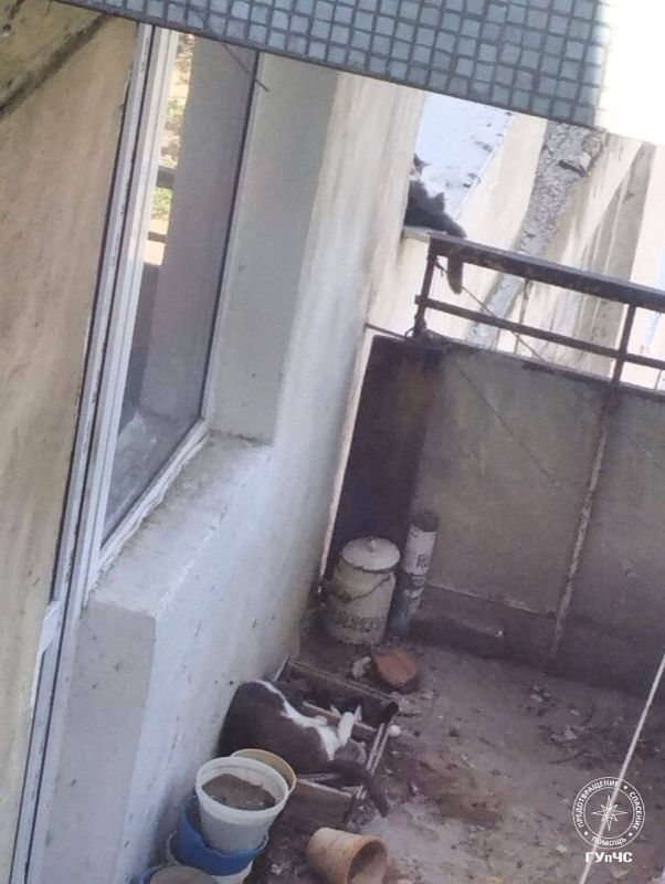 � ����������� �������� ������� � ������� ����-����� � �������������� ��������