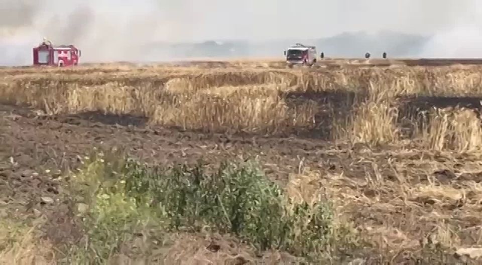 ������� 50 �������� ������� �� ������� �������� �������