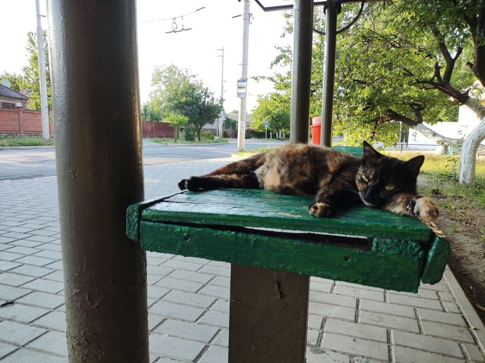 ������� - ����. ���� ������������� ��������