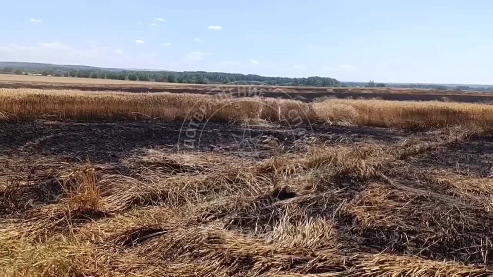 � �������� ���������� ���� � ��������