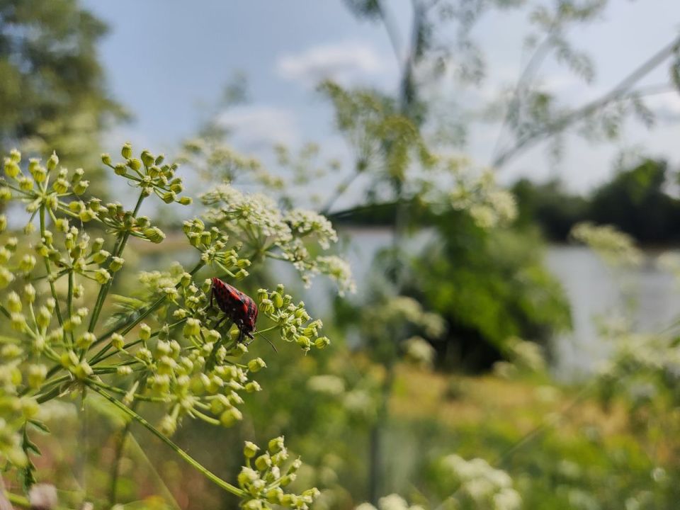 ��� �������� ��������� ����� �� ����� �� � ��, 26 ���� ��������� ���������� ����������, ��� �������