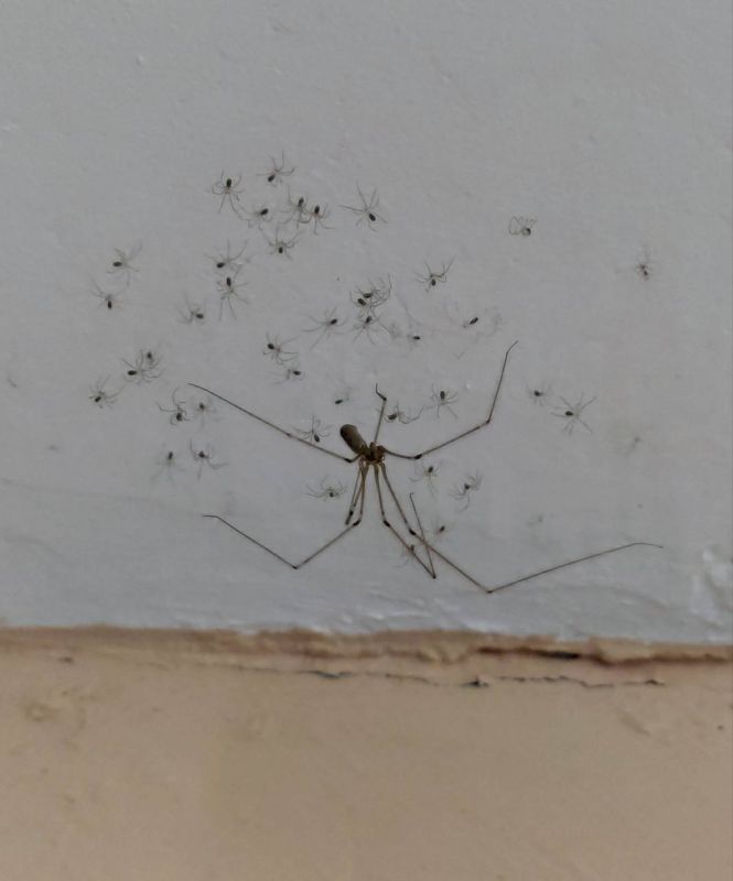 ������ ������� ������ � ������������� �� ������ � �����