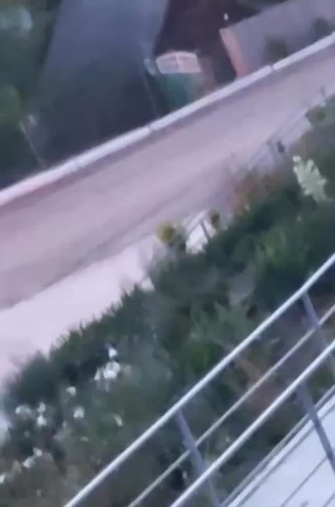 ����� ������� ����� �� �����������