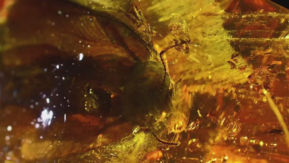 ������ ��������� 35-40 ��������� ��� � ������������� ������� ��������� ������ ������ � ������������