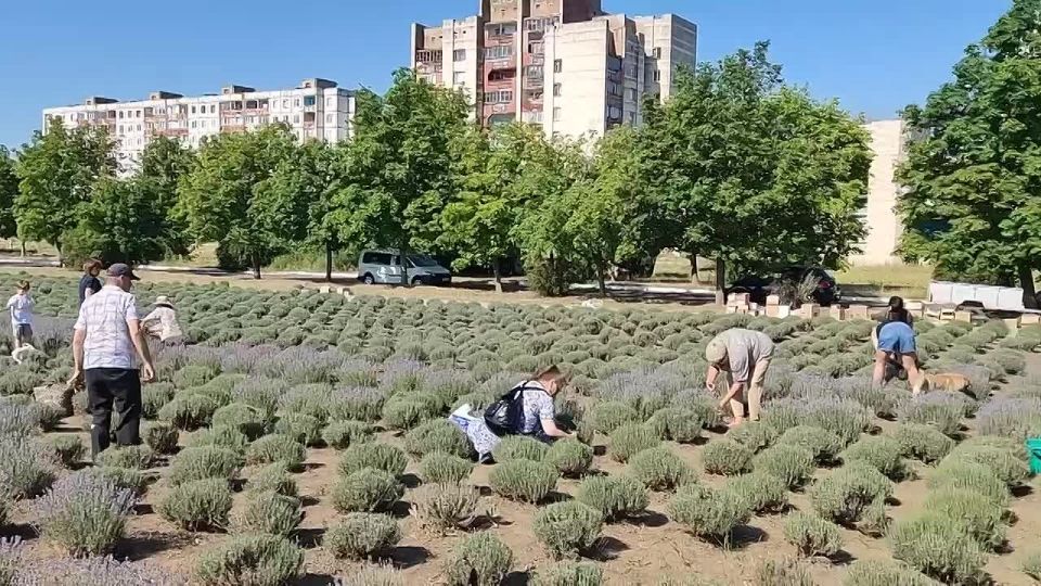 ���������� ���� � ����������� ������ ���� �� ������