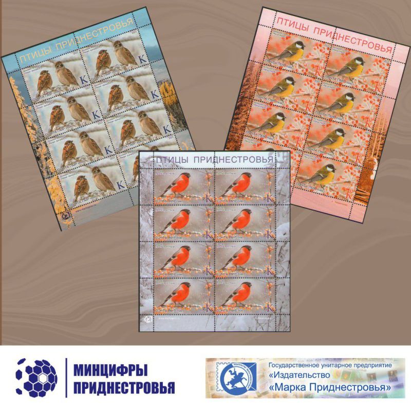 28 ���� � ���������� ��������-������������� ����� ��������� ����������� ����� �������� ����� ������ ��������������