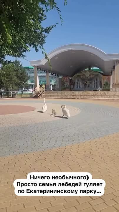 ��������� ����� ������������� ����� ������ � �������������� �����