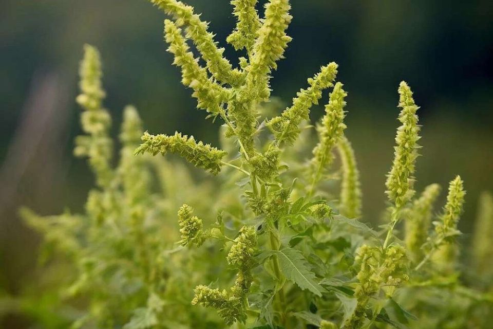 ������ � ��������� ������������