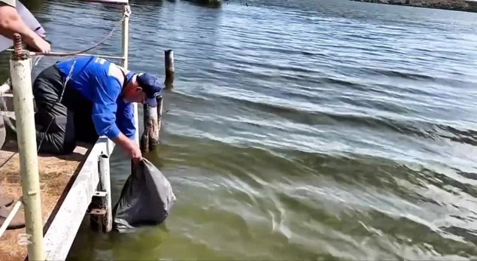 ����� 5 ��������� ������� �������� � ������������ �����