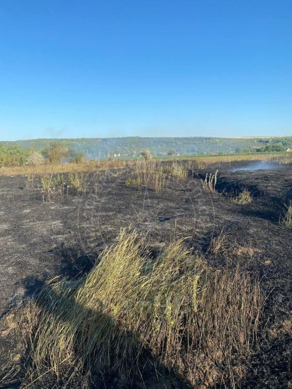 �� ����� �������� 11 ��� �������� �� ������� ���������� ����� ����� � ��������