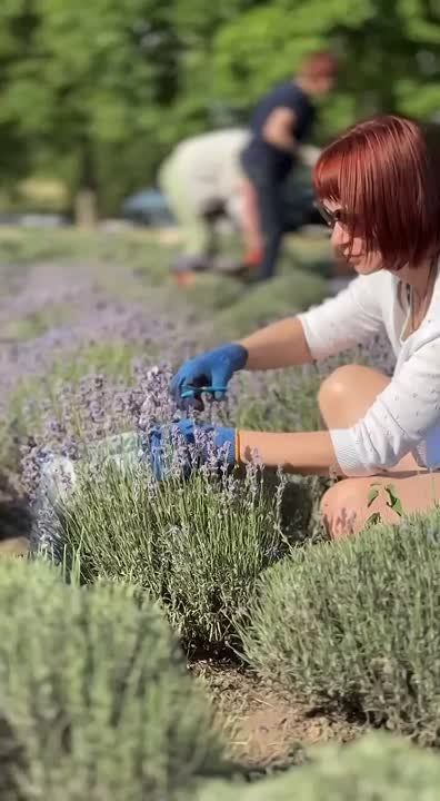 � ����������� ���� � ������ ���� ������ �������� �������