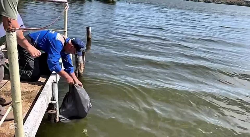 Экологи ГРЭС в Днестровске выпустили в лиман 5 млн мальков