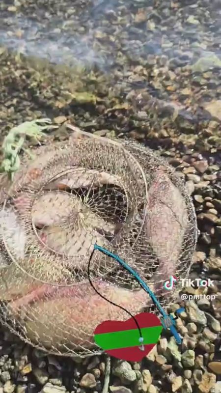 ����, ����� � ���� � ������-������� ���-�� �� �������