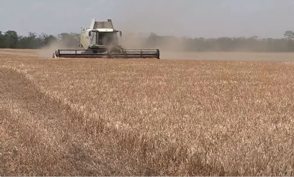 � ������������� �������� ��������� ��������