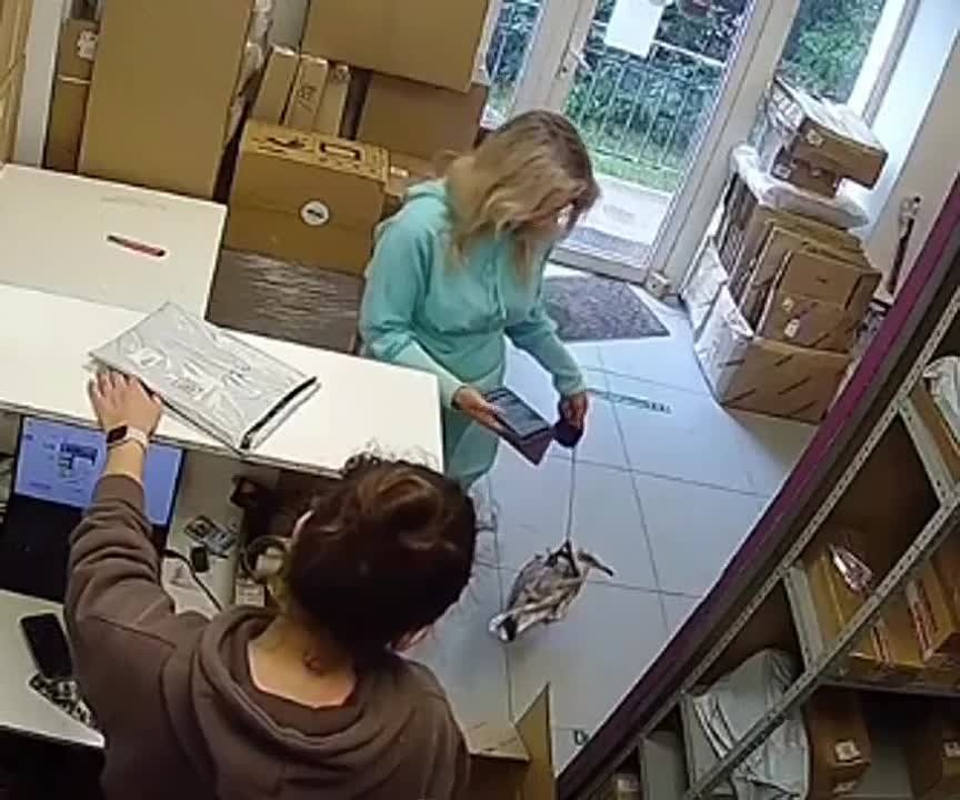 � ������ ������� ������ �������� ������� � ������ �� �������