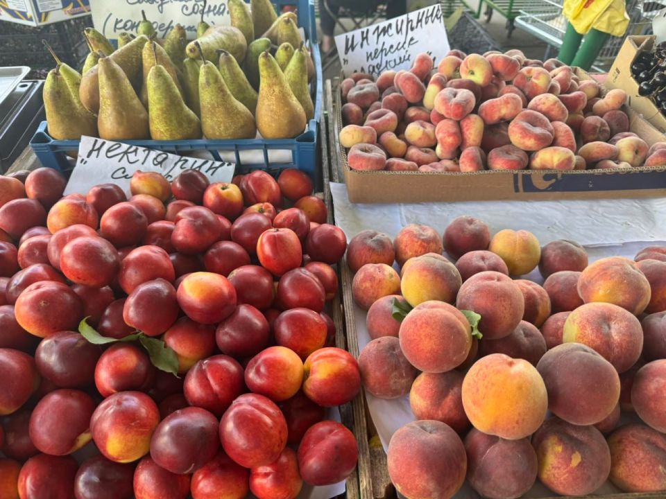 �� ����� �������� ������, � �������� ��������