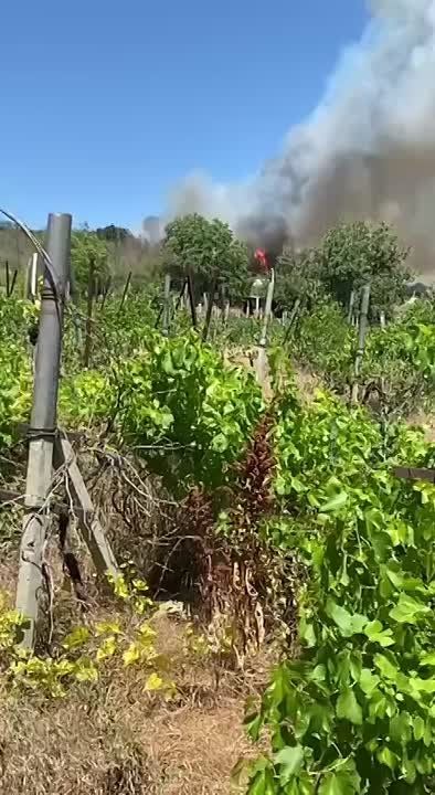 � ������� ������� ��� ������� �����