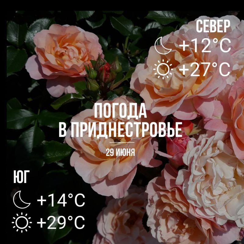 ���� � �� +29��. ��� �������