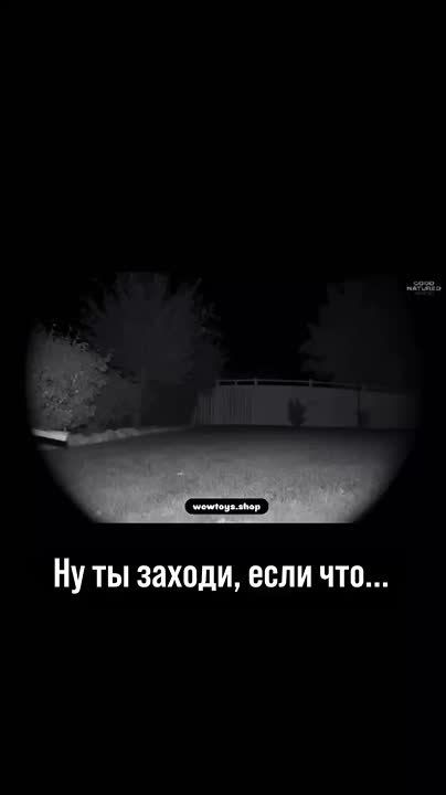 ����� ��� �� �������� ���� ��� ��� ������ �� ������ �������� ����������