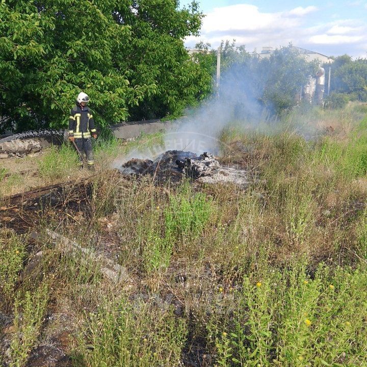 �� ����� �������� 14 ��� �������� �� ���������� ���������� ����� �����, ������ � ��������