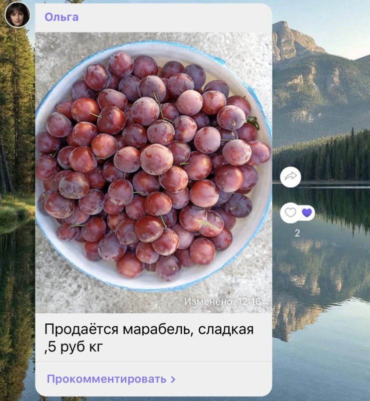 ����� �������� � �������� ����� ������� �� 5 ������