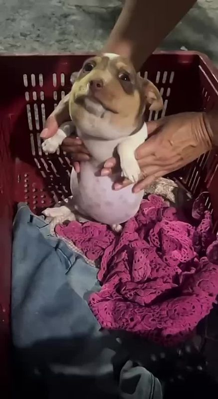 ��� ���: ����� ������� �� �������, � � ����� ��� ��� ��������