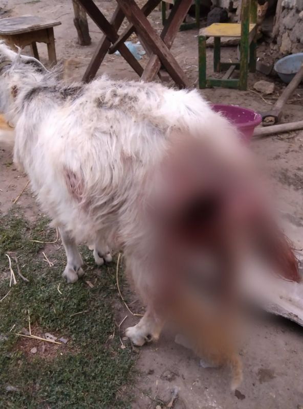 �������� ������ ��������� �������� ������� � ��������� ��� ����� ������ � �����������