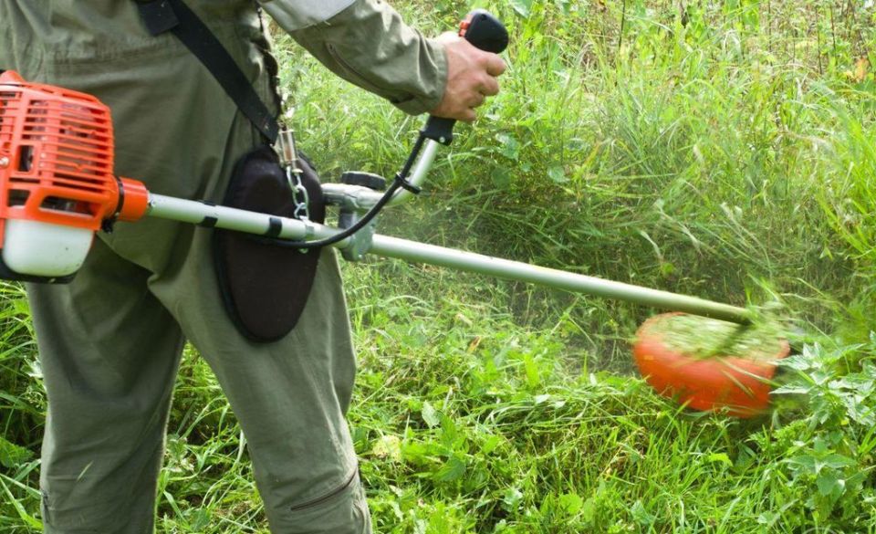 ����� �������: �� ���� ��������� ����� 8 �������