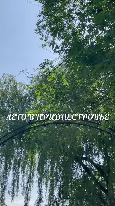 ��������� � ������ ����������: ������, ������� � �����