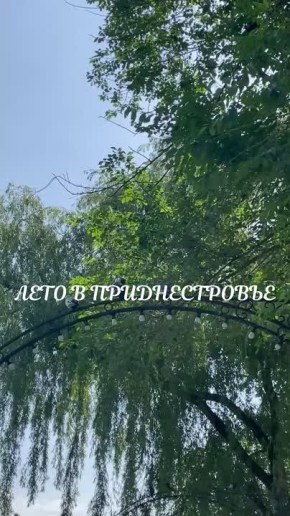    : ,   