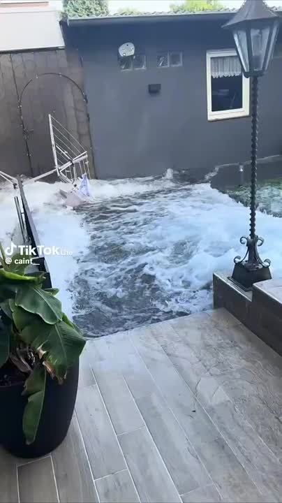 20 ���� ���� �� 20 ������ ������ � ������ ����