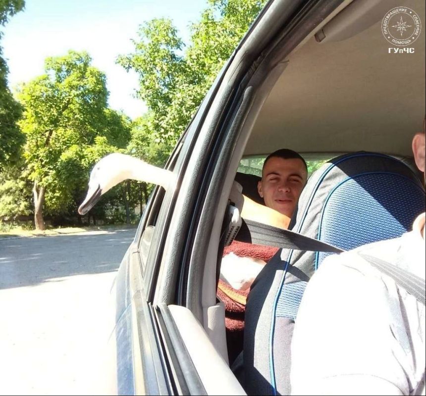 ���� ���: ��������� �������� � ������ �� ������ ������� ��������� ������ ����������