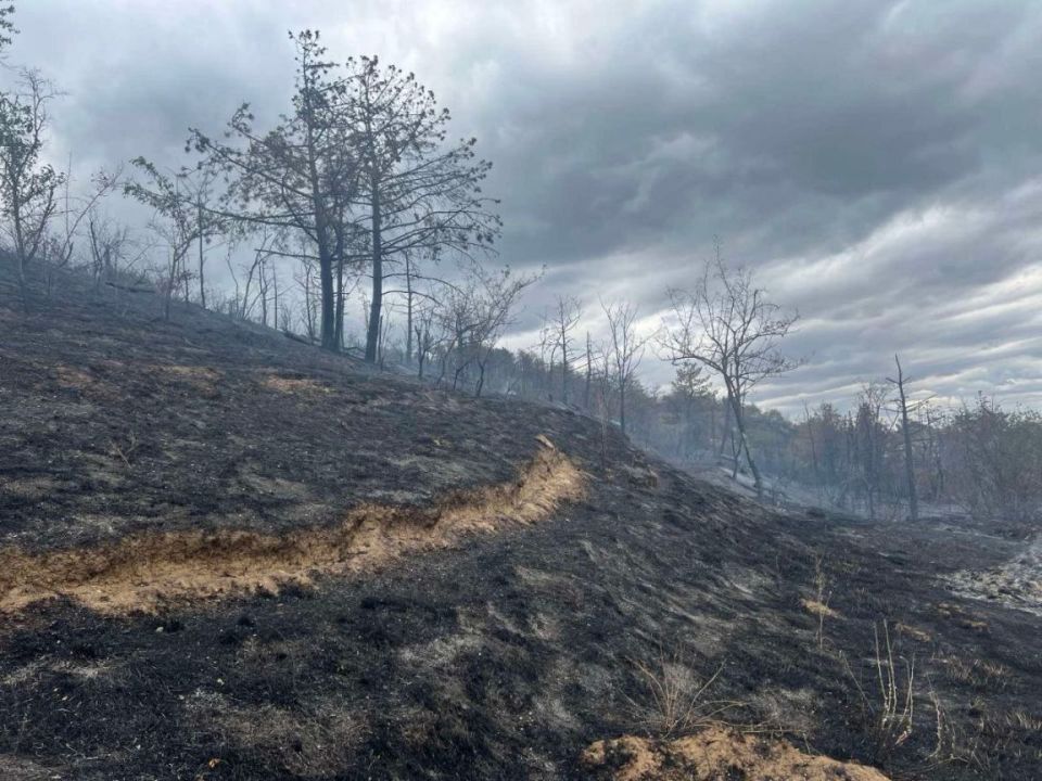 ����������� ���������� ������ ����� �������