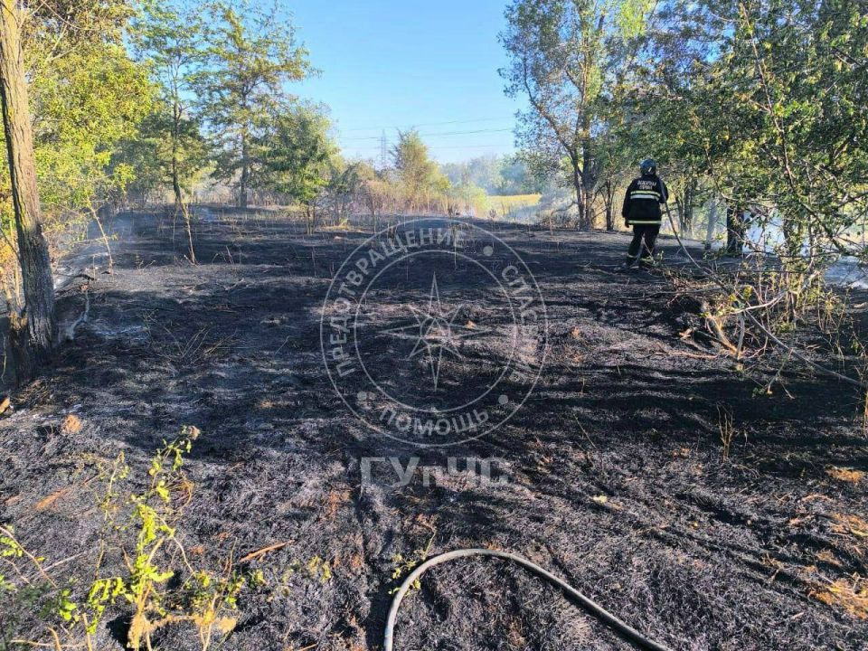 �������� � �������� ���� 20 �������