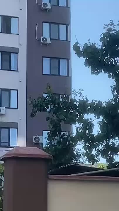 ����� ����������� �������� ��������� � ��������