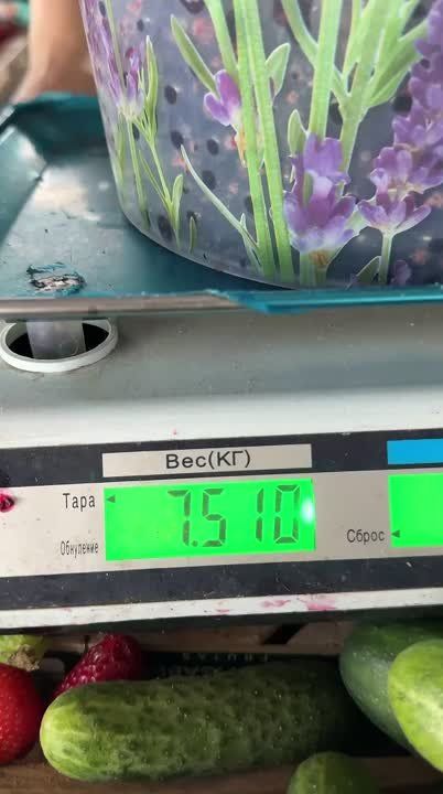 ��������� �� ����� ������ �� 55 ������, ������� - 45, ����� - 55