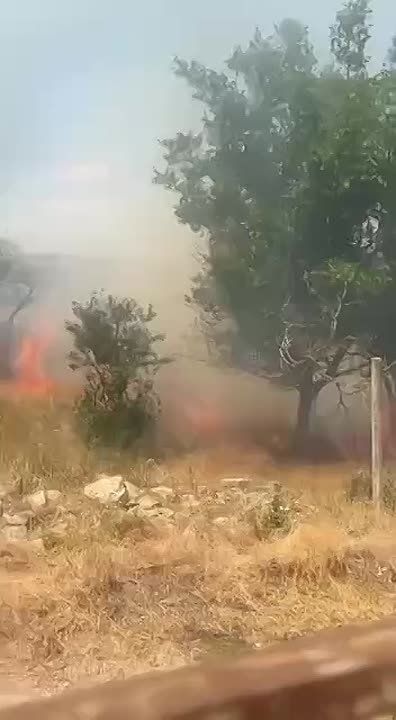 ����� ������ � �������� ����� �����