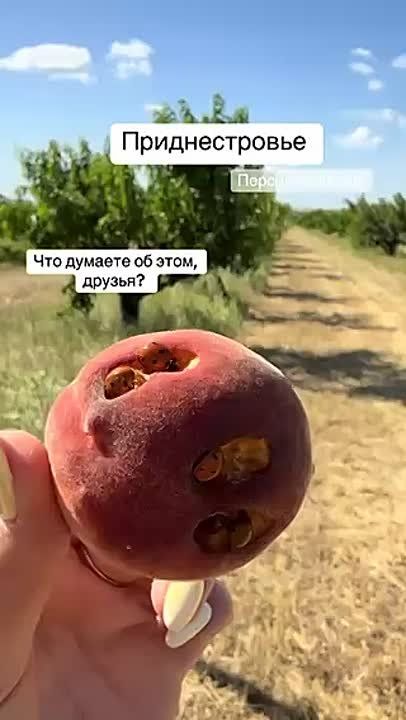 ����� ������� �������� ������� � �������������?