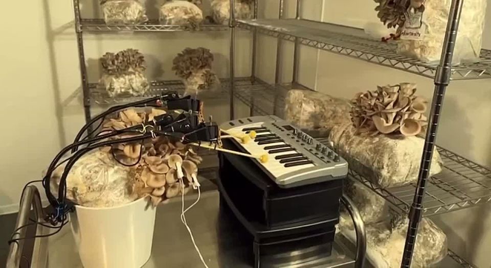 ����� ������ �� ����������� ������������, ����� ������ ������ ��������� � ����